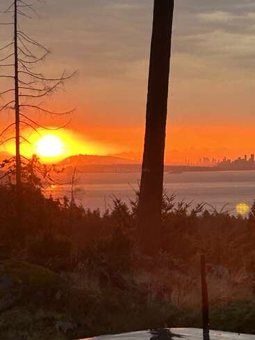 A vivid sunset glows orange over a distant city skyline, mountains, calm water, and wooded landscape, silhouetted by bare and leafy trees in the foreground.