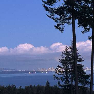 The image depicts a serene cityscape with a large body of water, featuring trees in the foreground and a distant skyline under a blue sky with white clouds.