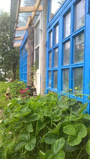 A imagem retrata uma cena serena de jardim com uma estufa azul com moldura de madeira, cercada por uma vegetação exuberante e flores vibrantes, evocando uma sensação de tranquilidade.