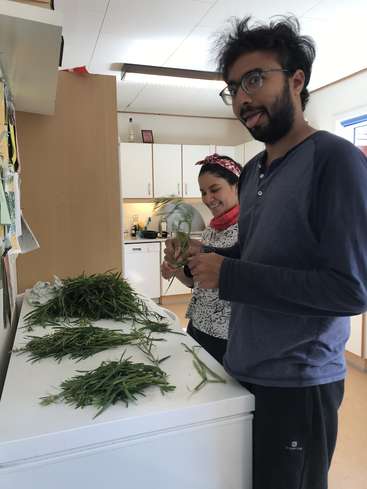 A imagem mostra um homem e uma mulher em pé em uma cozinha, preparando ervas em um balcão branco, com o homem vestindo uma camisa escura e a mulher usando uma blusa estampada.