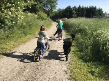 A imagem mostra duas mulheres andando de bicicleta em um caminho de terra, acompanhadas por dois cães, cercadas por vegetação exuberante e árvores sob um céu azul claro.