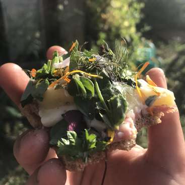 Uma mão segura um pequeno sanduíche aberto com várias coberturas, incluindo verduras, queijo e flores comestíveis, em um fundo externo desfocado.