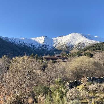 Uma casa fica aninhada entre as árvores, com montanhas cobertas de neve se erguendo majestosamente atrás dela. O céu azul claro acima cria uma paisagem de inverno tranquila, pitoresca e serena.