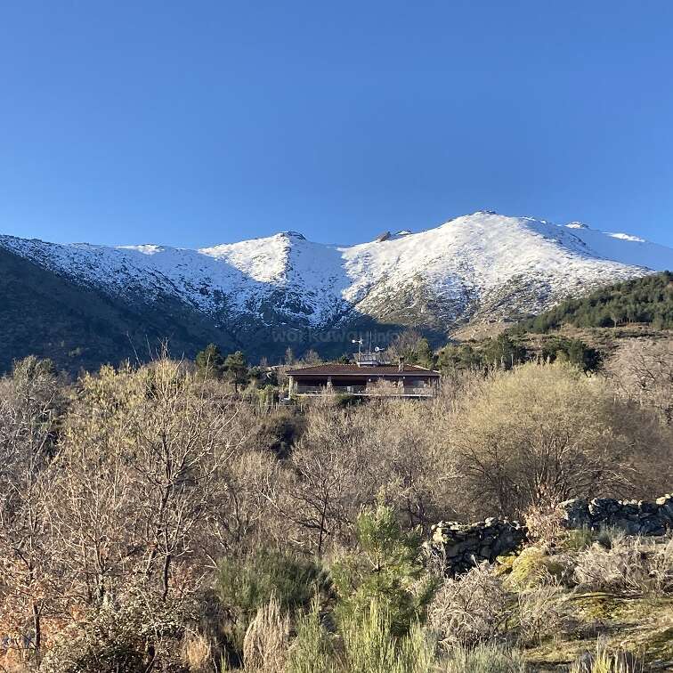 Uma casa fica aninhada entre as árvores, com montanhas cobertas de neve se erguendo majestosamente atrás dela. O céu azul claro acima cria uma paisagem de inverno tranquila, pitoresca e serena.