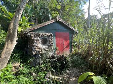 Una pequeña y rústica cabaña verde con una puerta roja está enclavada en medio de una vegetación densa y exuberante. La estructura presenta un muro de piedra con una ventana redonda.