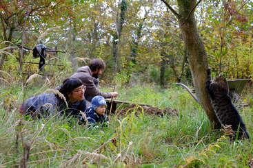 Three people, including a woman, a small child, and a man, are enjoying nature together, surrounded by tall grass and trees in a lush, green forest.