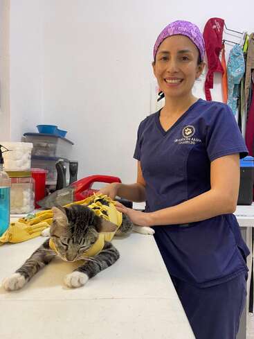 Une vétérinaire souriante, vêtue d'une blouse bleu marine et d'un foulard violet, se tient à côté d'un chat tigré détendu, vêtu d'un vêtement jaune, probablement dans une clinique vétérinaire.