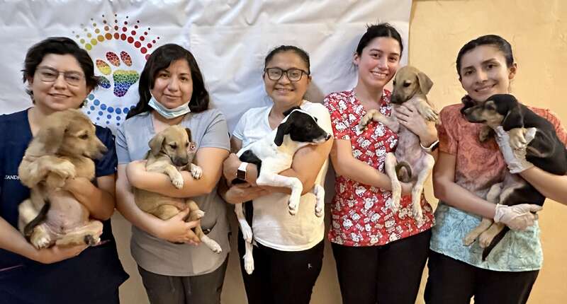 Cinq femmes, chacune tenant un chiot dans ses bras, sourient devant un logo coloré représentant une empreinte de patte sur fond blanc, évoquant l'ambiance joyeuse d'une clinique vétérinaire ou d'un refuge pour animaux.