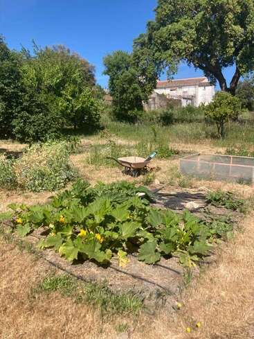 A imagem mostra um jardim com um carrinho de mão, um canteiro elevado e várias plantas, tendo como pano de fundo árvores e um prédio branco em um dia ensolarado.