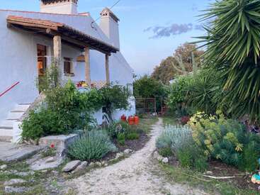 Una encantadora casa blanca con tejado de tejas y un frondoso jardín verde. Un camino de grava discurre entre plantas, flores y arbustos hasta llegar a unos contenedores naranjas.