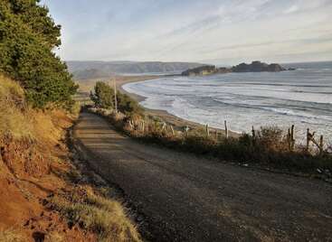 A winding dirt road follows the coastline, bordered by grassy hills and trees. Gentle waves roll onto the sandy beach under a soft, cloudy sky.