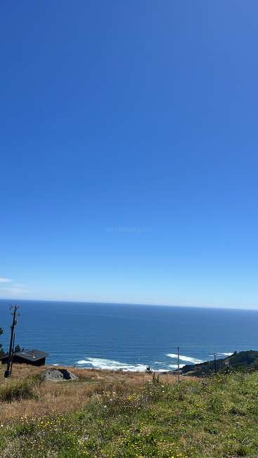 A clear blue sky stretches above the vast ocean. Grassy fields and wildflowers cover the hillside. Waves crash gently below, creating a peaceful coastal landscape.