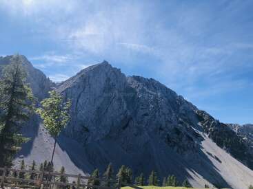 Majestätische, felsige Berggipfel ragen unter einem klaren, blauen Himmel empor. An den unteren Hängen stehen Kiefern, und im Vordergrund ist ein Holzzaun zu sehen. Eine heitere Landschaft.