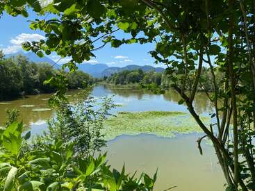 Ein ruhiger Fluss, gesäumt von üppig grünen Bäumen und Pflanzen, schwimmenden Seerosenblättern, unter blauem Himmel und vereinzelten Wolken, mit fernen Bergen im Hintergrund, eingerahmt von Ästen.