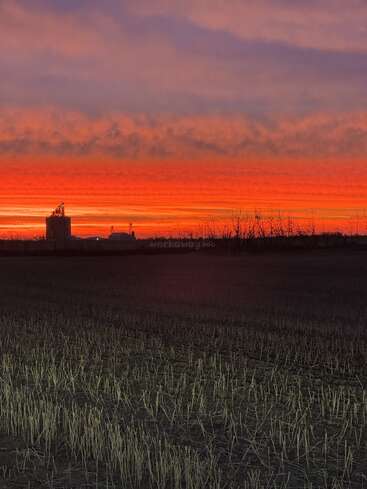 Una puesta de sol llena de vida, con un cielo de intensos tonos anaranjados y morados, ilumina un campo llano y ya cosechado. En el horizonte lejano se perfilan edificios industriales y árboles desnudos. Una tarde tranquila.