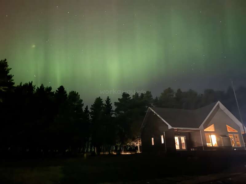 Una acogedora casa resplandece cálidamente bajo el cielo nocturno, rodeada de árboles oscuros, mientras las auroras boreales verdes danzan por encima, iluminando la apacible escena estrellada.
