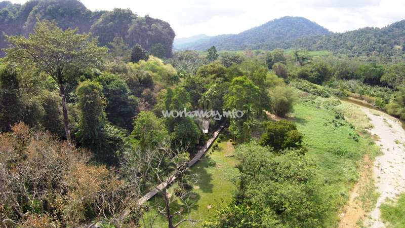 L'image représente un paysage serein composé d'un chemin de terre, d'une végétation luxuriante et d'une chaîne de montagnes lointaine, avec un filigrane subtil au centre.