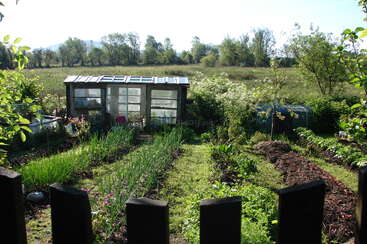 The image depicts a small wooden greenhouse with a sloping roof, situated in a lush garden, surrounded by trees and a grassy field on a sunny day.