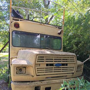 An old, abandoned yellow Ford bus sits in overgrown greenery. Its headlights are missing, windows are dusty, and the roof has a metal safety railing.