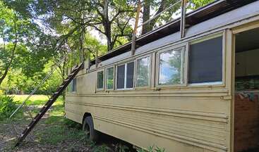 A yellow bus is parked outdoors, converted into a living space with windows and a wooden staircase leading to a rooftop deck, surrounded by lush green trees.