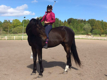 A woman wearing a helmet and pink jacket sits confidently on a dark horse in an outdoor arena, holding a riding crop under a clear, blue sky.