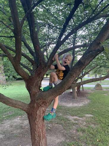 A young boy wearing a black shirt, gray shorts, and green Crocs climbs a tree happily in a park, surrounded by lush green leaves and grass.