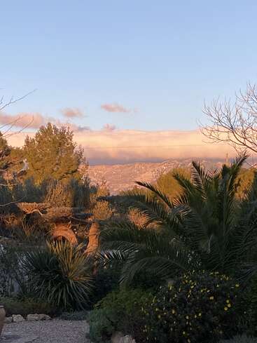 Un paisaje tranquilo al atardecer muestra una exuberante vegetación, palmeras y arbustos en flor en primer plano, con montañas cubiertas de nubes bañadas por un cálido resplandor dorado.
