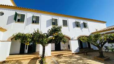 Cette image montre une maison blanche de deux étages de style méditerranéen avec des volets verts, des colonnes arquées, des citronniers dans la cour et un soleil éclatant sous un ciel bleu clair.