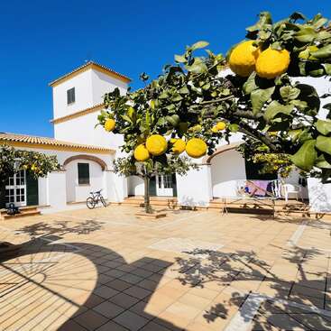 A sunny courtyard features a white Mediterranean-style house, lemon trees with ripe yellow fruit, a bicycle, arched windows, and laundry drying under a clear blue sky.