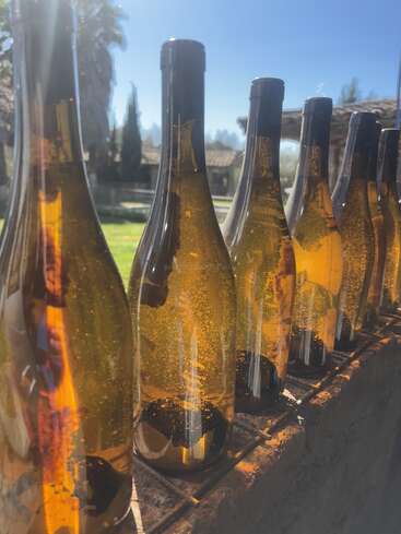 Une rangée de bouteilles de vin ambrées reflète la lumière du soleil, faisant ressortir les bulles à l'intérieur. Disposées à l'extérieur près de bâtiments rustiques, elles créent une atmosphère chaleureuse, accueillante et paisible.