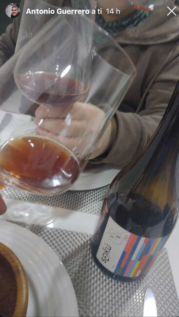 Deux personnes trinquent avec des verres de vin rouge autour d'une table dressée. Une bouteille de vin colorée portant l'étiquette « Sxí3 » est visible près d'une assiette blanche.