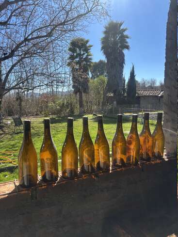 Dix bouteilles en verre vides sont alignées sur un rebord en briques, à travers lesquelles la lumière du soleil brille. À l'arrière-plan, on aperçoit un jardin avec des palmiers.