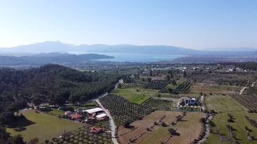 Blick von oben auf eine ländliche Gegend mit Feldern, Bäumen und Bauernhäusern. Im Hintergrund sieht man ein großes Gewässer und weit entfernte Berge.