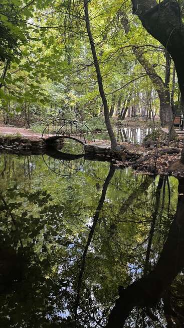 Eine kleine Bogenbrücke führt über einen ruhigen Teich, der von üppig grünen Bäumen umgeben ist, deren Spiegelbilder sich perfekt im Wasser widerspiegeln und eine friedliche, ruhige Atmosphäre schaffen.