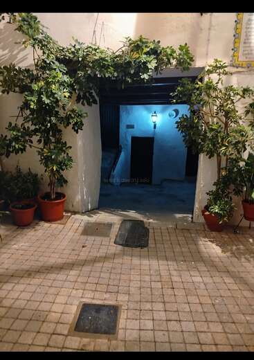 A cozy courtyard entrance with potted plants on either side, leafy vines above, tiled floor, and a warmly lit passageway leading into a tranquil interior space.