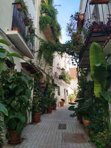 A narrow alleyway lined with potted plants and lush greenery, with balconies above also adorned with flowers and foliage, creating a charming, vibrant, and peaceful atmosphere.