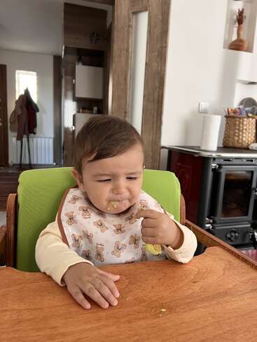Um bebê senta-se em uma cadeira alta usando um babador com ursinhos de pelúcia, fazendo uma careta de desagrado ao provar a comida, possivelmente não gostando do sabor ou da textura.