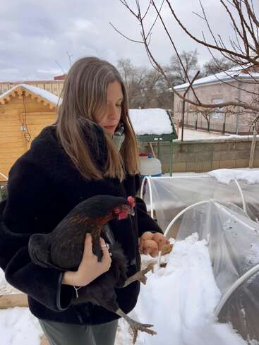 Uma jovem mulher está do lado de fora, em um quintal coberto de neve, segurando uma galinha preta e vários ovos, cercada por árvores, um galpão de madeira e canteiros de jardim cobertos.