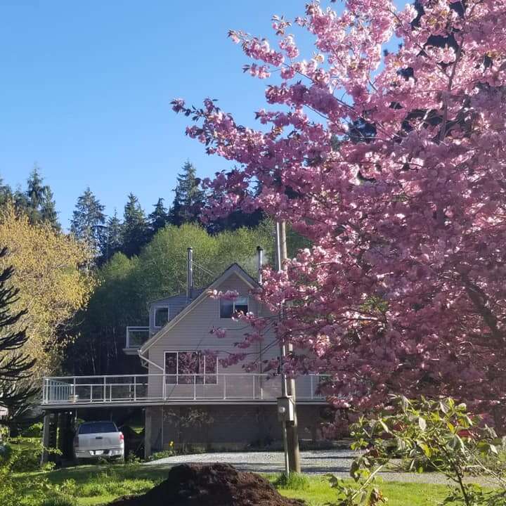 L'image représente une maison à deux étages avec un balcon et une voiture blanche garée en dessous, entourée d'arbres et d'un arbre à fleurs d'un rose éclatant au premier plan.