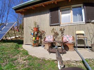 A cozy patio with wicker chairs, potted plants, and a small table outside a wooden house. A cat walks by. Solar panels visible nearby. Sunny day.