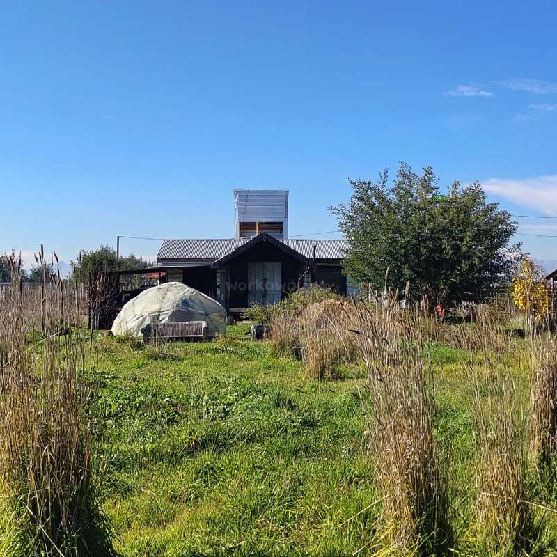 A rustic cabin stands in a grassy field under a clear blue sky. Nearby, a small greenhouse dome and overgrown plants create a peaceful, rural atmosphere.