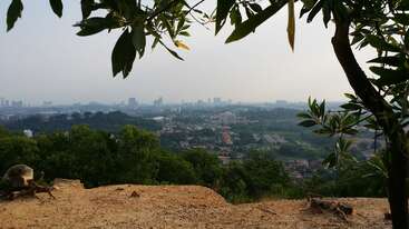 Esta imagen muestra una colina rocosa y polvorienta con vistas a un extenso paisaje verde, edificios urbanos en la distancia y ramas de árboles que enmarcan la escena bajo un cielo brumoso.