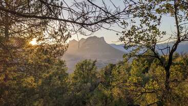 Sunlight filters through dense forest branches, illuminating lush green trees. In the distance, a majestic mountain rises, bathed in golden evening light, creating a serene landscape.