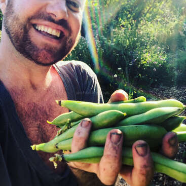 L'image représente un homme tenant une poignée de haricots verts devant un jardin, avec le soleil qui l'éclaire et les plantes derrière lui.