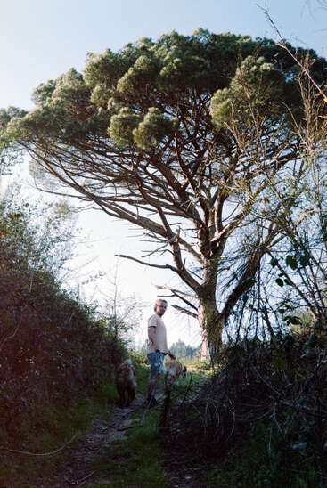 L'image représente un homme debout dans une zone boisée avec un chien, entouré d'arbres et de buissons, avec un ciel bleu clair en arrière-plan.