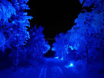 Essa imagem mostra um caminho florestal coberto de neve à noite, iluminado por luzes azuis intensas, criando um cenário de inverno surreal e brilhante, com árvores resplandecendo contra a escuridão.