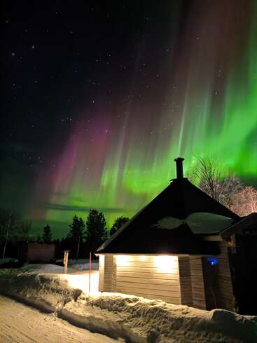 Uma cabana de madeira fica bem iluminada no meio da neve, enquanto as vibrantes auroras boreais verdes e roxas dançam no céu estrelado acima das árvores tranquilas de inverno.