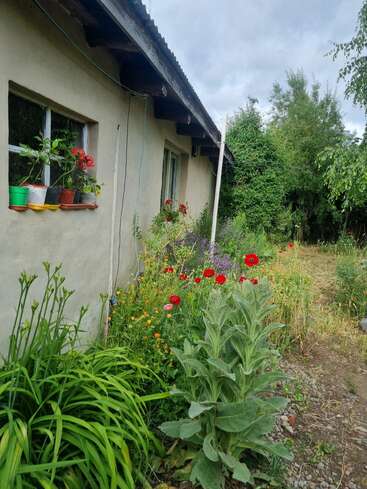 Una casa pintoresca con un jardín rebosante de verdor, flores de colores y macetas en el alféizar de la ventana, bajo un cielo nublado, que desprende un encanto rústico y apacible.