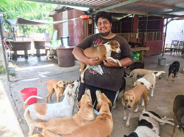 The image depicts a man surrounded by multiple dogs in an outdoor setting, with a covered area and a building in the background.