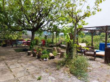 Un acogedor patio exterior con árboles, bancos de madera, mesas, tocones y plantas. La exuberante vegetación rodea las zonas de descanso, creando un ambiente tranquilo y acogedor.